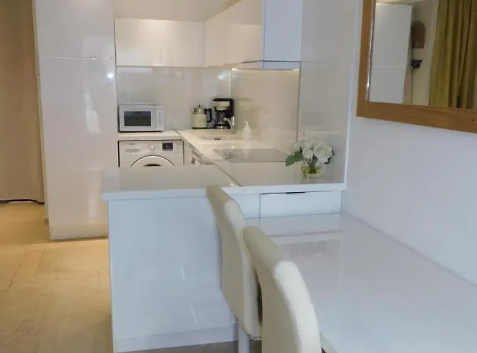 Lovely 1 Bedroom Boulevard De La Croisette Daire
